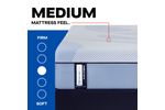 Picture of Plainfield Medium Hybrid Cal King Mattress