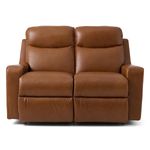 Picture of Emmons Reclining Loveseat
