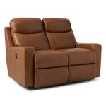 Picture of Emmons Reclining Loveseat