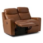 Picture of Emmons Reclining Loveseat