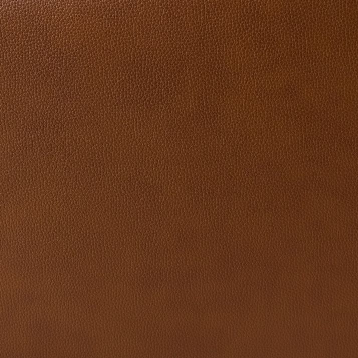 Picture of Emmons Reclining Loveseat