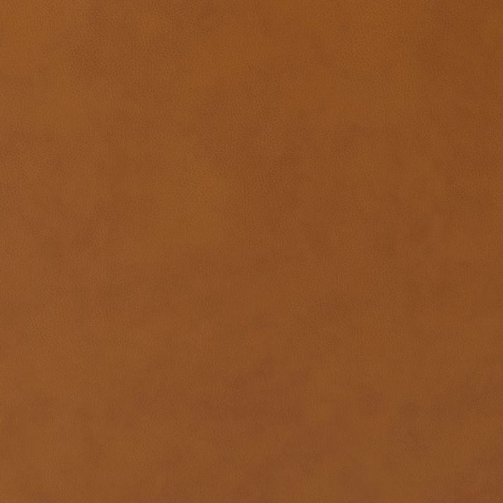 Picture of Venus Leather Sofa