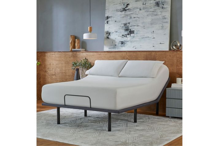 Picture of Baselogic Silver Twin XL Adjustable Base