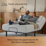 Picture of Baselogic Bronze Queen Adjustable Base