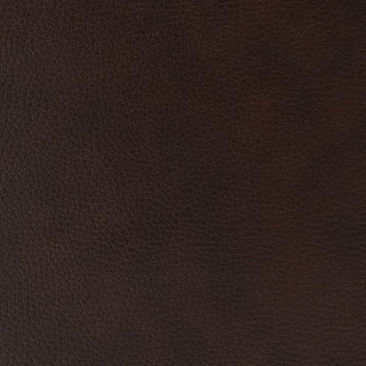 Picture of Trouper Reclining Sofa