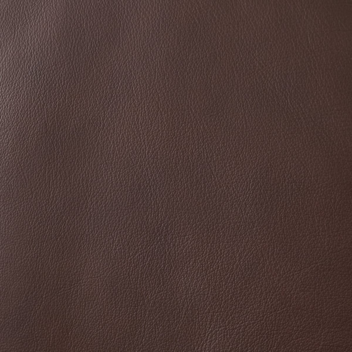 Mocha