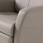 Picture of Nice Fog Power Swivel Recliner