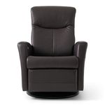 Picture of Nice Havanna Power Swivel Recliner