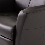 Picture of Nice Havanna Power Swivel Recliner