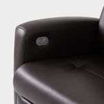 Picture of Nice Havanna Power Swivel Recliner