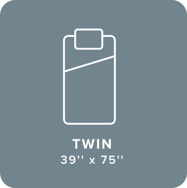 Twin