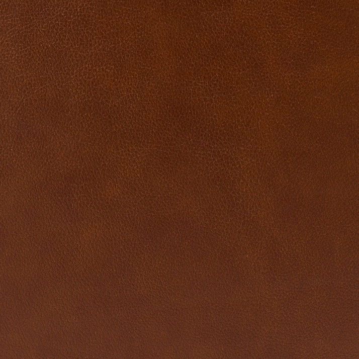 Picture of Cognac Power Recliner