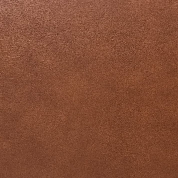 Picture of Felton Caramel Sofa