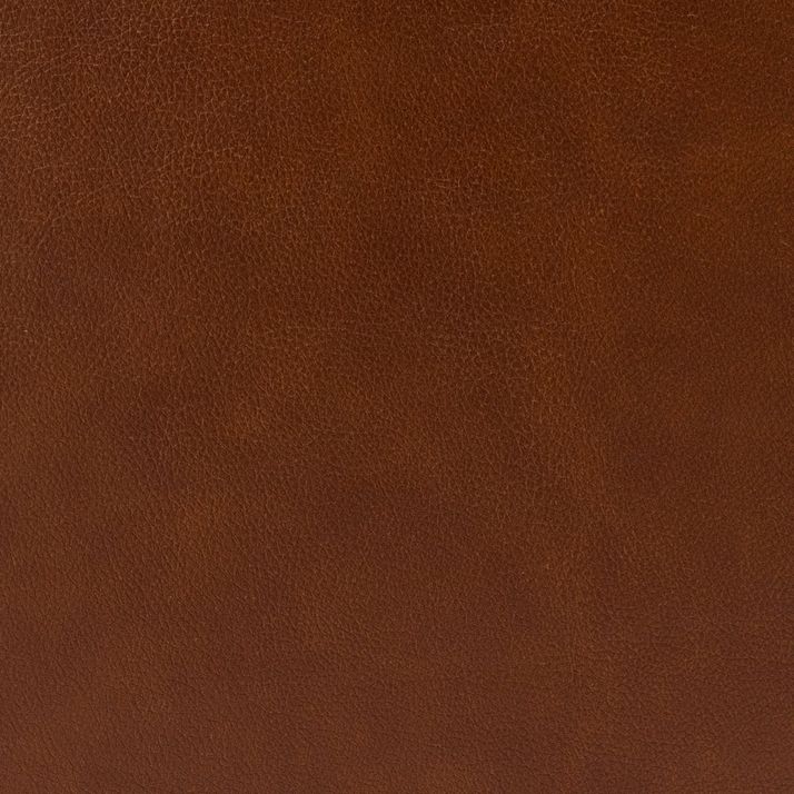 Picture of Cognac Power Sofa
