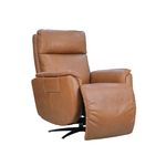 Picture of Zen Cove Power Swivel Recliner