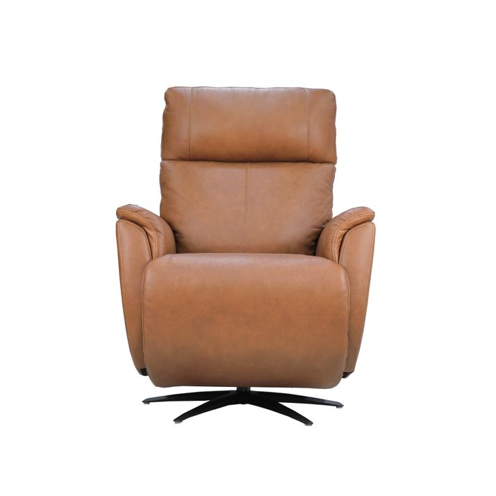 Picture of Zen Cove Power Swivel Recliner
