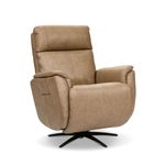 Picture of Zen Cove Power Swivel Recliner