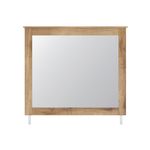 Picture of Fenderport Mirror