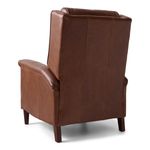 Picture of Holland Recliner