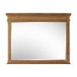 Picture of Daylily Mirror