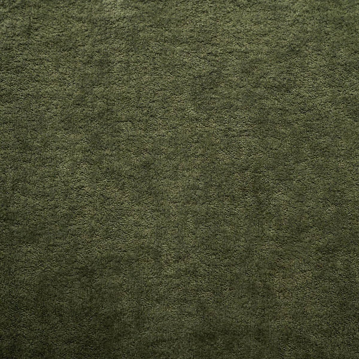 Moss