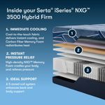 Picture of iSeries NXG Firm Hybrid King Mattress