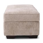 Picture of Ritz Taupe Storage Ottoman