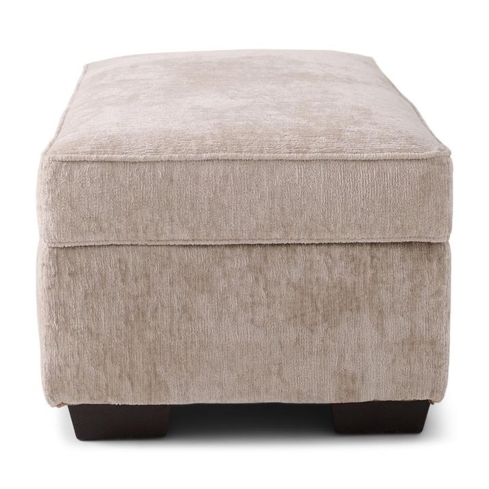 Picture of Ritz Taupe Storage Ottoman