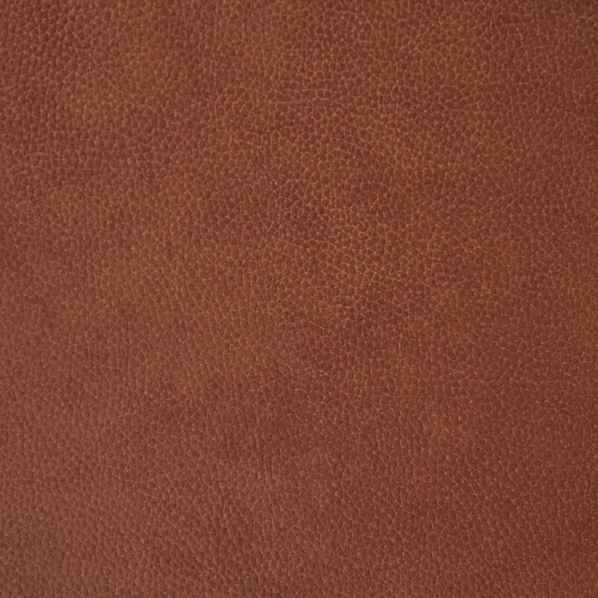 Mocha