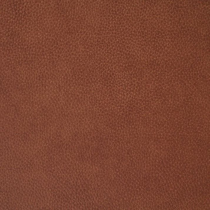 Picture of Baron Rocker Recliner