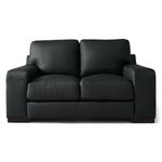Picture of Trinity Gunpowder Loveseat