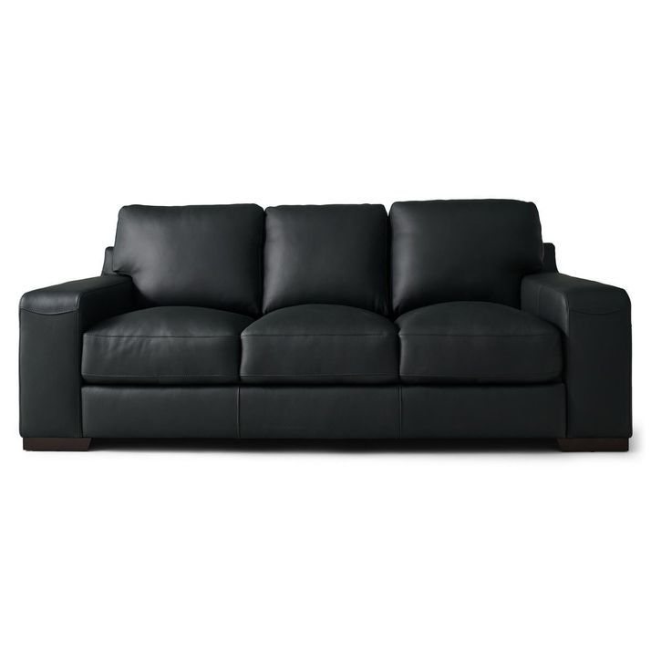 Picture of Trinity Gunpowder Sofa