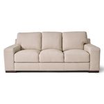 Picture of Succulents Vanilla Sofa