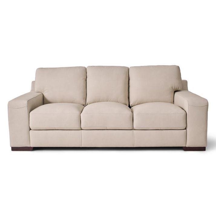 Picture of Succulents Vanilla Sofa