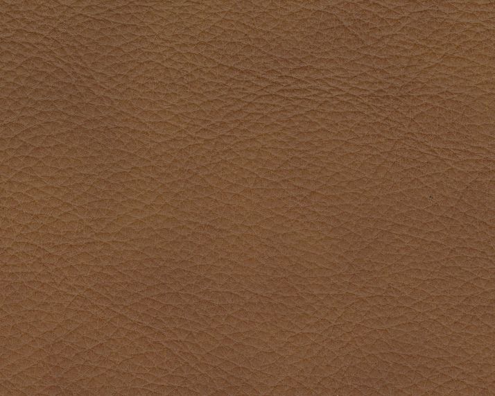 Picture of Rally-Up Caramel Power Loveseat