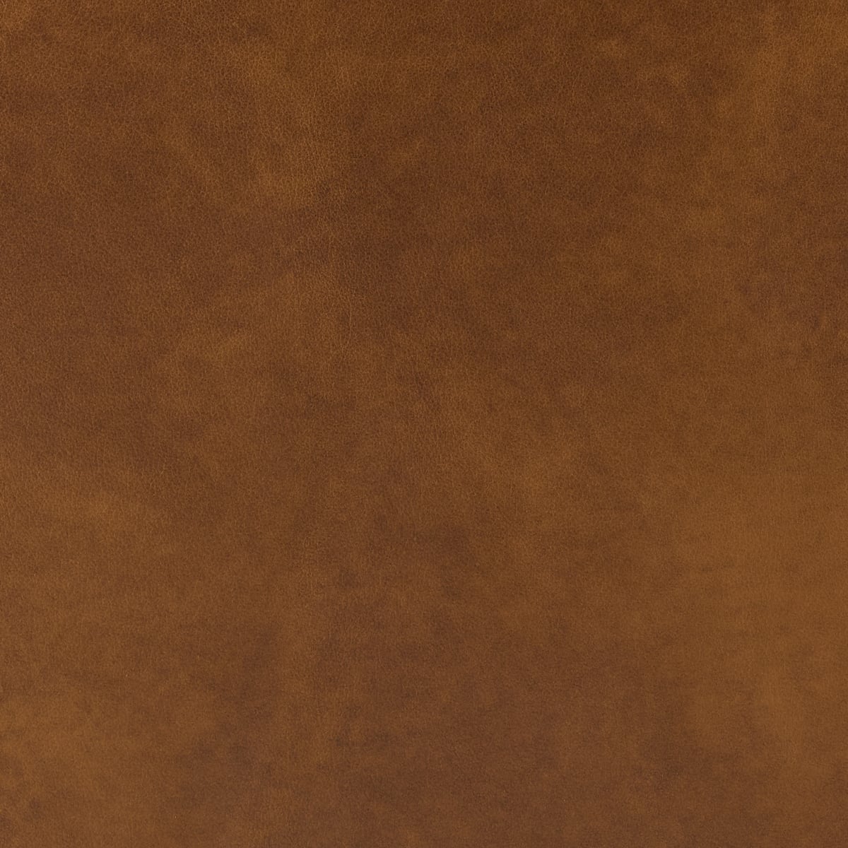 Mesa