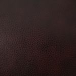 Picture of Rampant Rocker Recliner