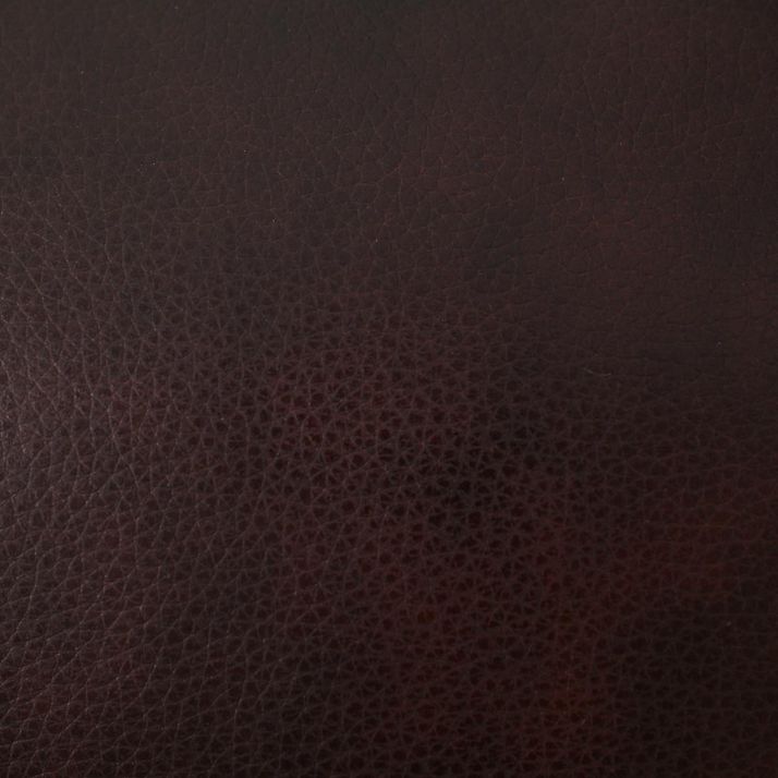 Picture of Rampant Rocker Recliner