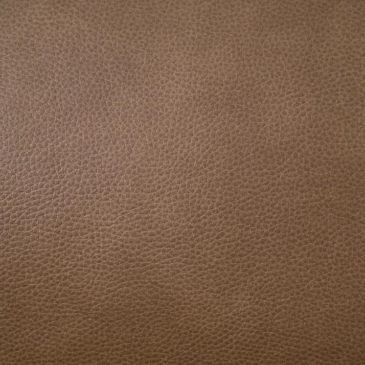 Picture of Cappuccino Power Lift Recliner