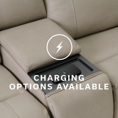 Charging Options Available